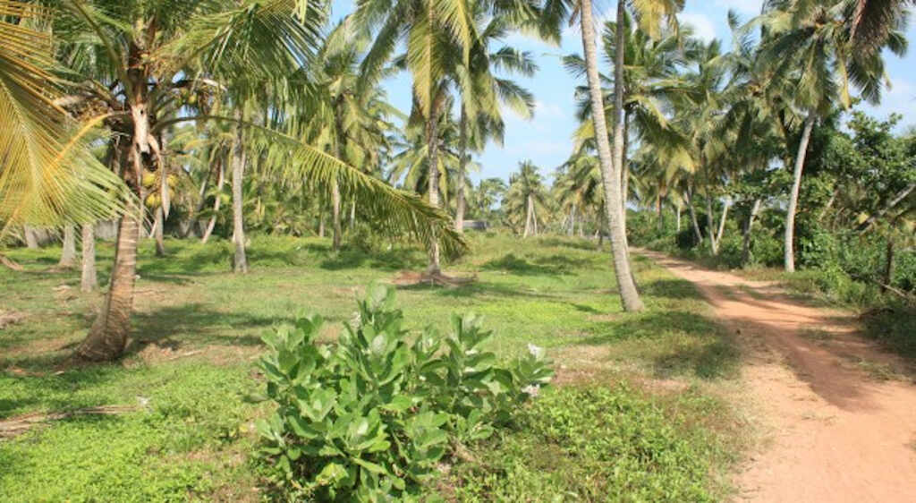 VALUABLE 7.5 Acre LAND FOR A HOTEL PROJECT IN WATTALA, USWATAKEIYAWA.